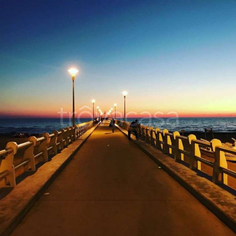 casa indipendente in vendita a Forte dei Marmi in zona Vittoria Apuana