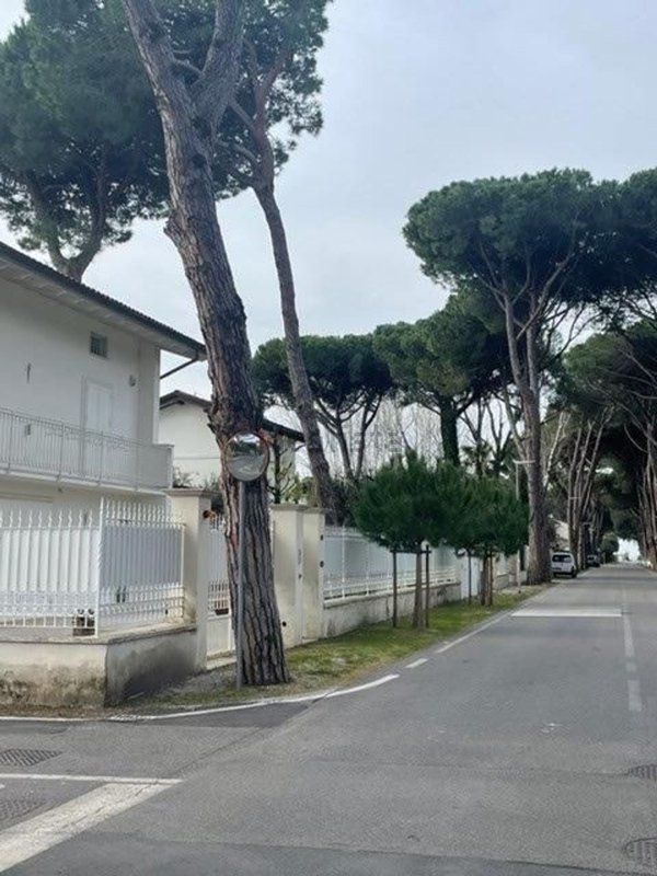 casa indipendente in vendita a Forte dei Marmi in zona Vittoria Apuana