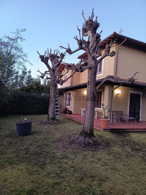 casa indipendente in vendita a Forte dei Marmi