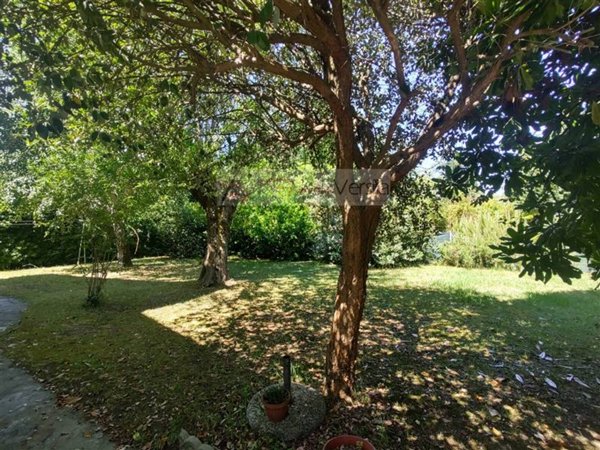 casa indipendente in vendita a Forte dei Marmi in zona Vittoria Apuana