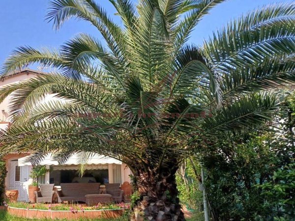 casa indipendente in vendita a Forte dei Marmi in zona Vittoria Apuana