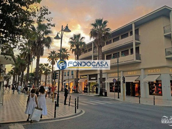 casa indipendente in vendita a Forte dei Marmi in zona Vittoria Apuana