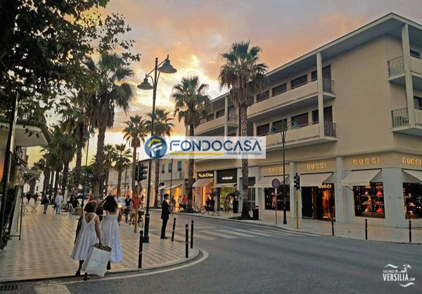 casa indipendente in vendita a Forte dei Marmi in zona Vittoria Apuana