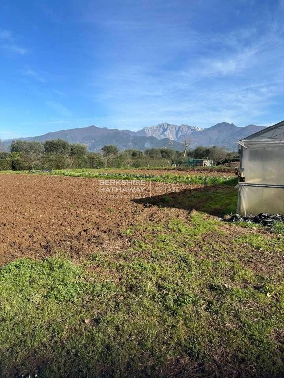 terreno agricolo in vendita a Forte dei Marmi