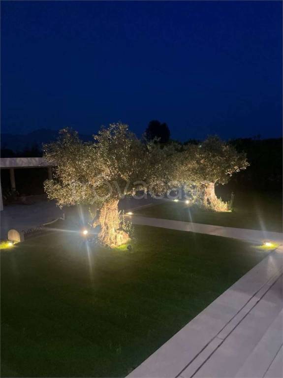 casa indipendente in vendita a Forte dei Marmi