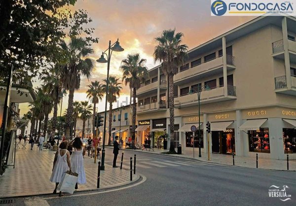 casa indipendente in vendita a Forte dei Marmi