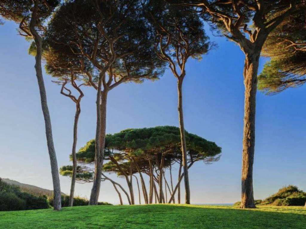 casa indipendente in vendita a Forte dei Marmi in zona Vittoria Apuana