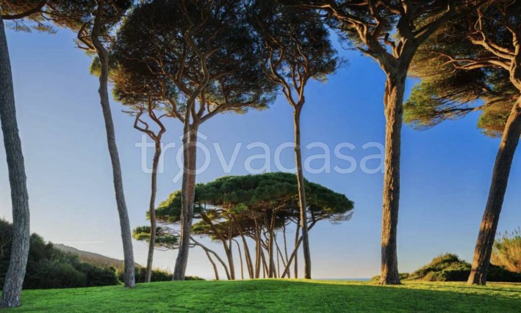 casa indipendente in vendita a Forte dei Marmi
