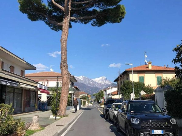 negozio in vendita a Forte dei Marmi