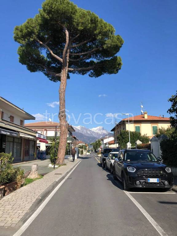 negozio in vendita a Forte dei Marmi