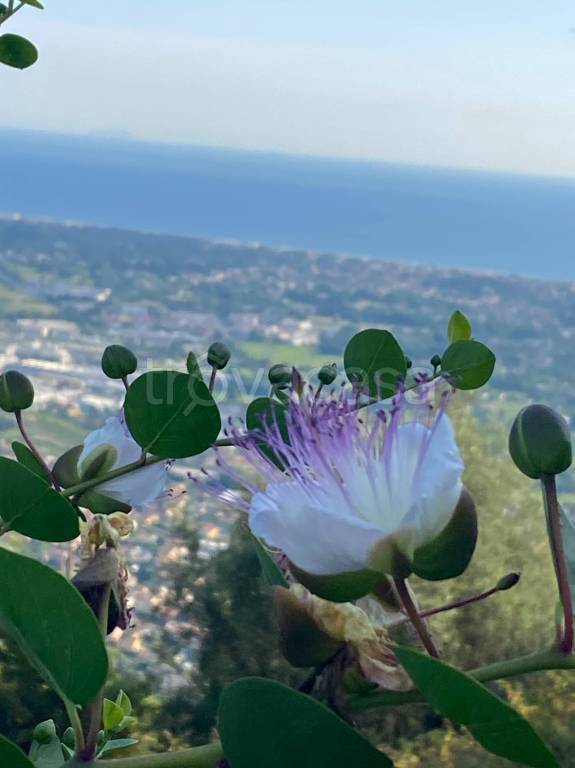 negozio in vendita a Forte dei Marmi