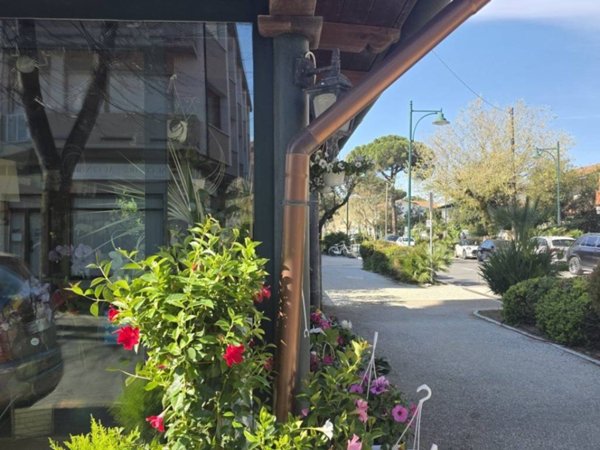 negozio in vendita a Forte dei Marmi in zona Vittoria Apuana