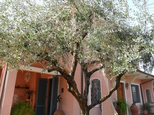 casa indipendente in vendita a Forte dei Marmi