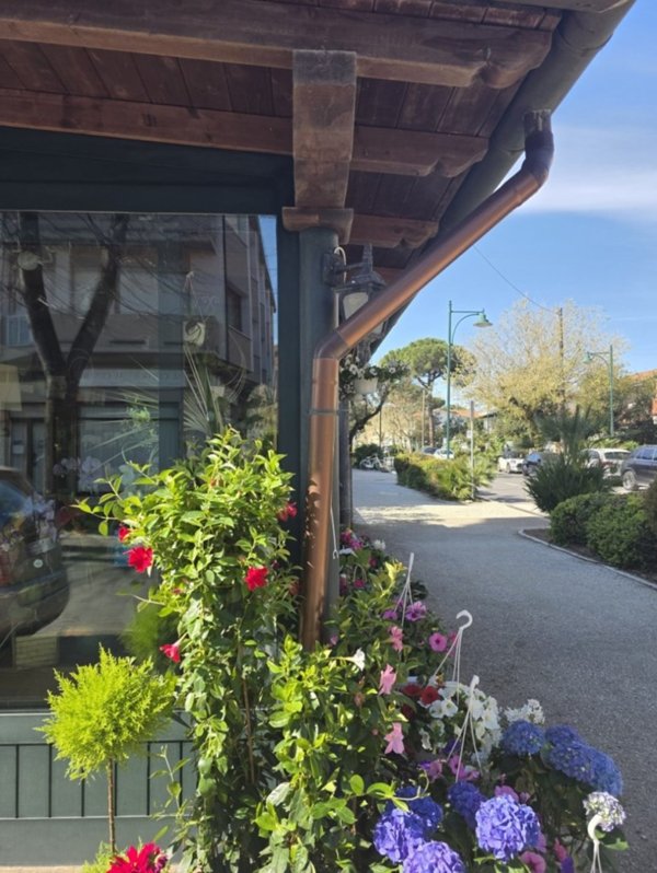 locale commerciale in vendita a Forte dei Marmi in zona Vittoria Apuana