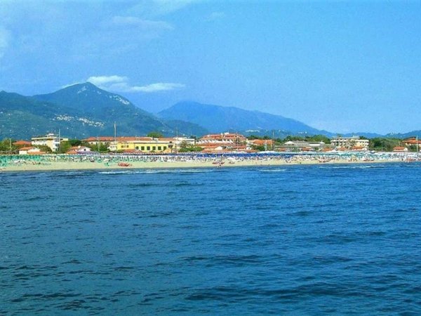 negozio in vendita a Forte dei Marmi
