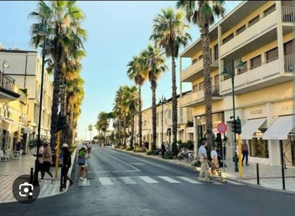 casa indipendente in vendita a Forte dei Marmi in zona Vittoria Apuana