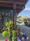 negozio in vendita a Forte dei Marmi in zona Vittoria Apuana