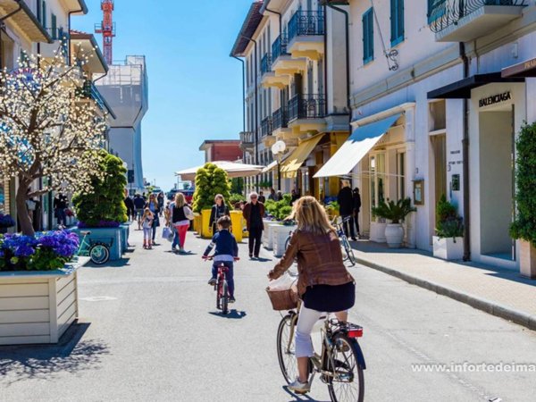 terreno agricolo in vendita a Forte dei Marmi in zona Vaiana