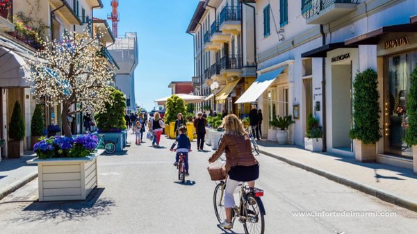 casa indipendente in vendita a Forte dei Marmi in zona Vaiana