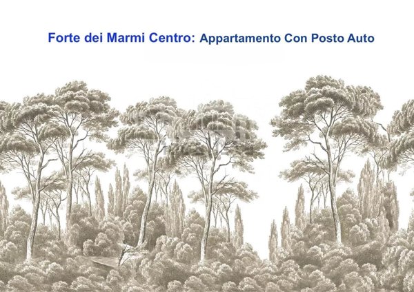 appartamento in vendita a Forte dei Marmi
