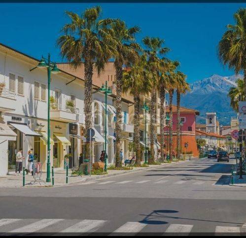 casa indipendente in vendita a Forte dei Marmi in zona Vittoria Apuana