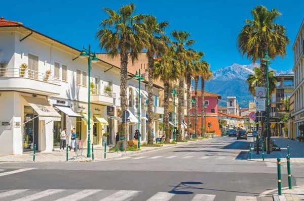 albergo in vendita a Forte dei Marmi in zona Vittoria Apuana