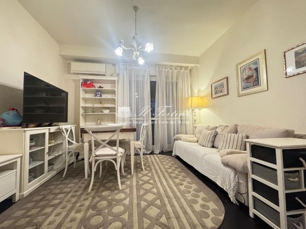 casa indipendente in vendita a Forte dei Marmi in zona Vittoria Apuana