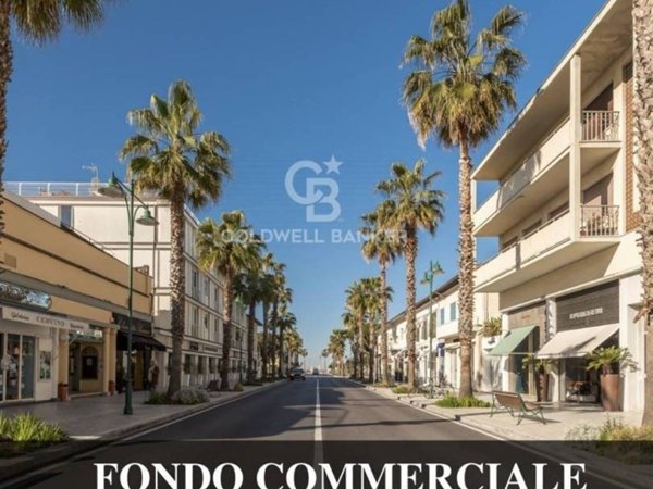 villa in vendita a Forte dei Marmi in zona Roma Imperiale