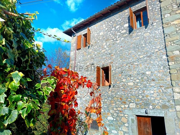 casa indipendente in vendita a Fosciandora