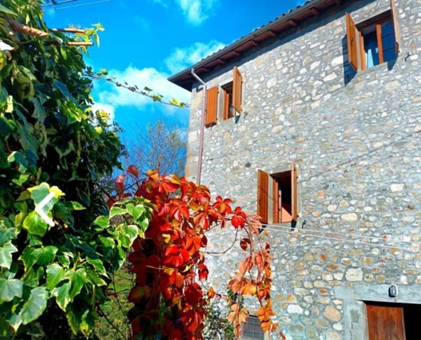 appartamento in vendita a Fosciandora