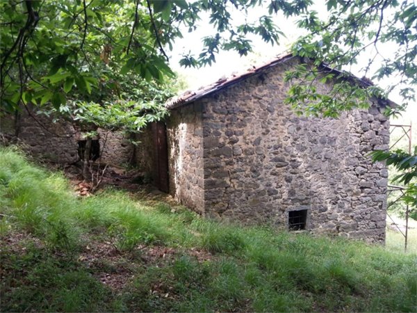 appartamento in vendita a Fosciandora in zona Treppignana