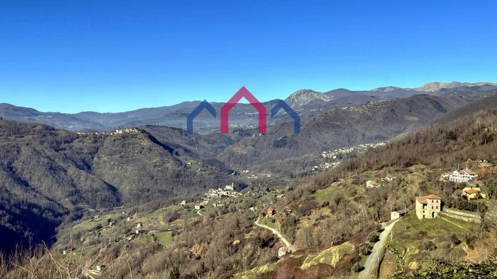 casa indipendente in vendita a Fosciandora in zona Treppignana