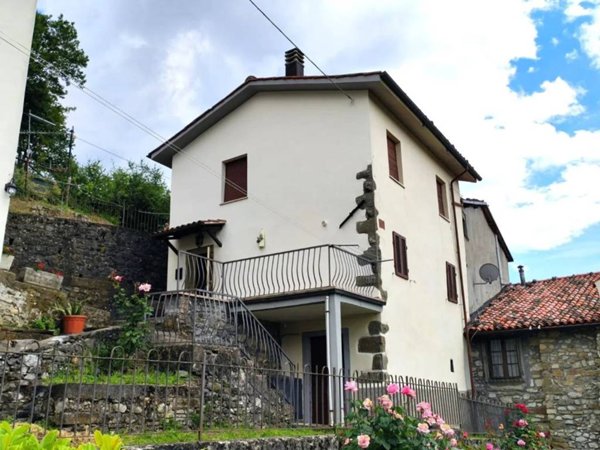 casa indipendente in vendita a Fosciandora in zona La Villa