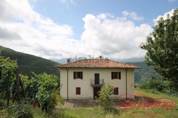 casa indipendente in vendita a Fosciandora in zona Lupinaia