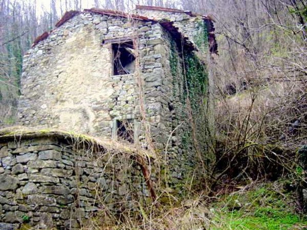 casa indipendente in vendita a Fosciandora