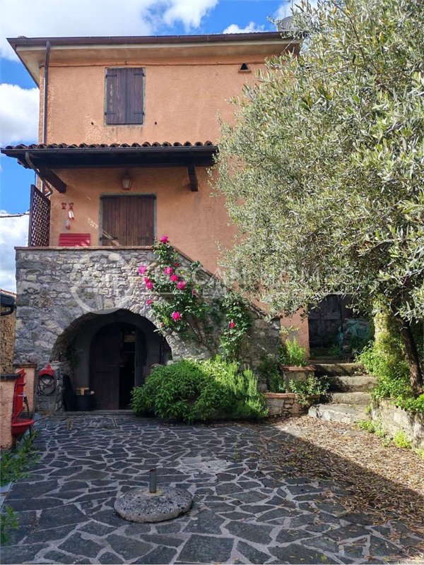 casa indipendente in vendita a Fosciandora in zona Treppignana