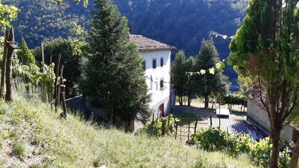 casa indipendente in vendita a Fosciandora in zona Migliano