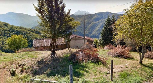 casa indipendente in vendita a Fosciandora in zona Treppignana