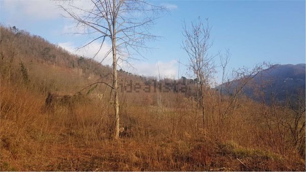 appartamento in vendita a Gallicano