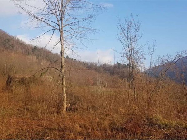 appartamento in vendita a Gallicano