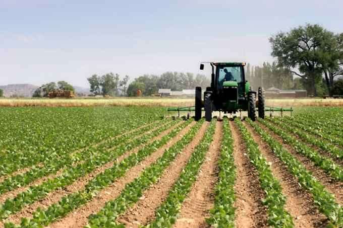 terreno agricolo in vendita a Lucca