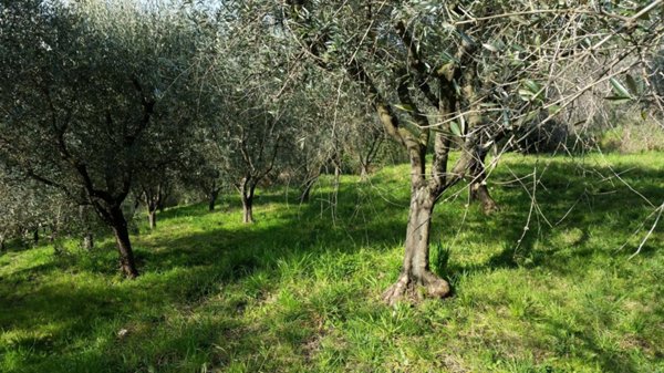 appartamento in vendita a Lucca in zona San Concordio di Moriano