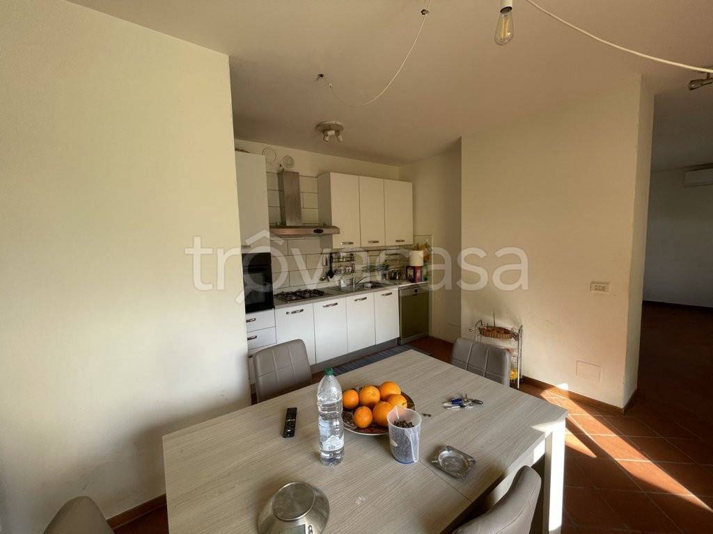 appartamento in vendita a Lucca in zona Sant'Angelo in Campo
