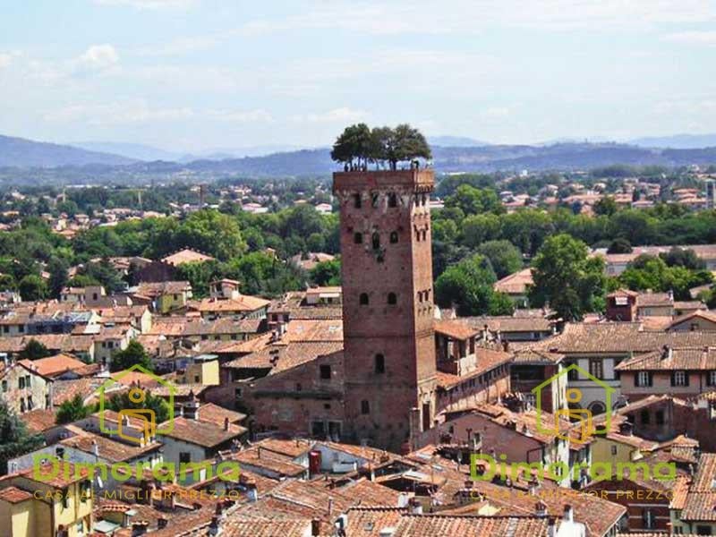 terreno edificabile in affitto a Lucca in zona Querce