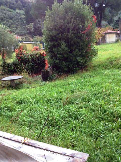 casa indipendente in vendita a Lucca in zona Ponte a Moriano