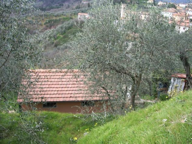 terreno agricolo in vendita a Lucca in zona Piazzano
