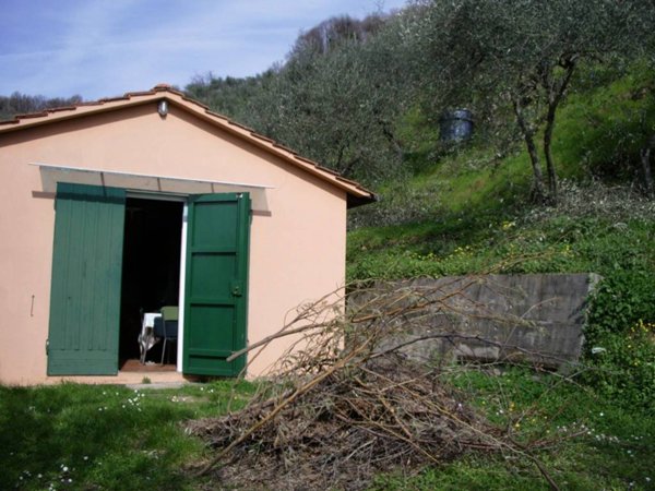 terreno agricolo in vendita a Lucca in zona Chiatri
