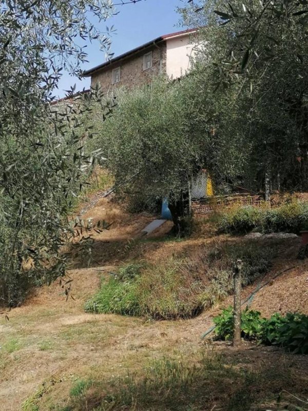 casa indipendente in vendita a Lucca in zona San Macario in Piano