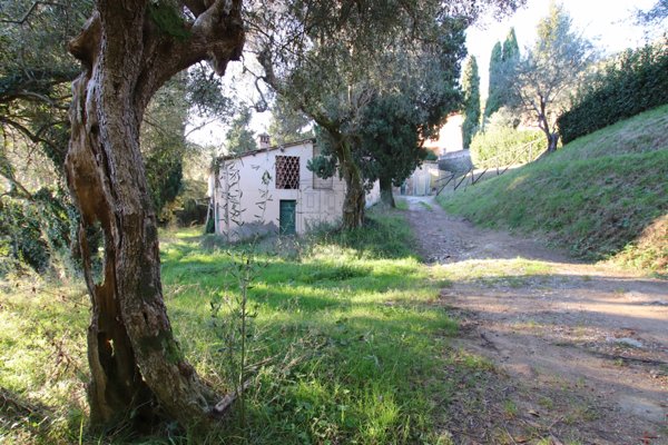 casa indipendente in vendita a Lucca