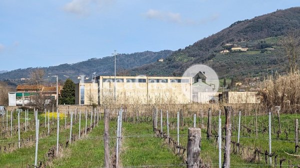 ufficio in vendita a Lucca in zona Mutigliano